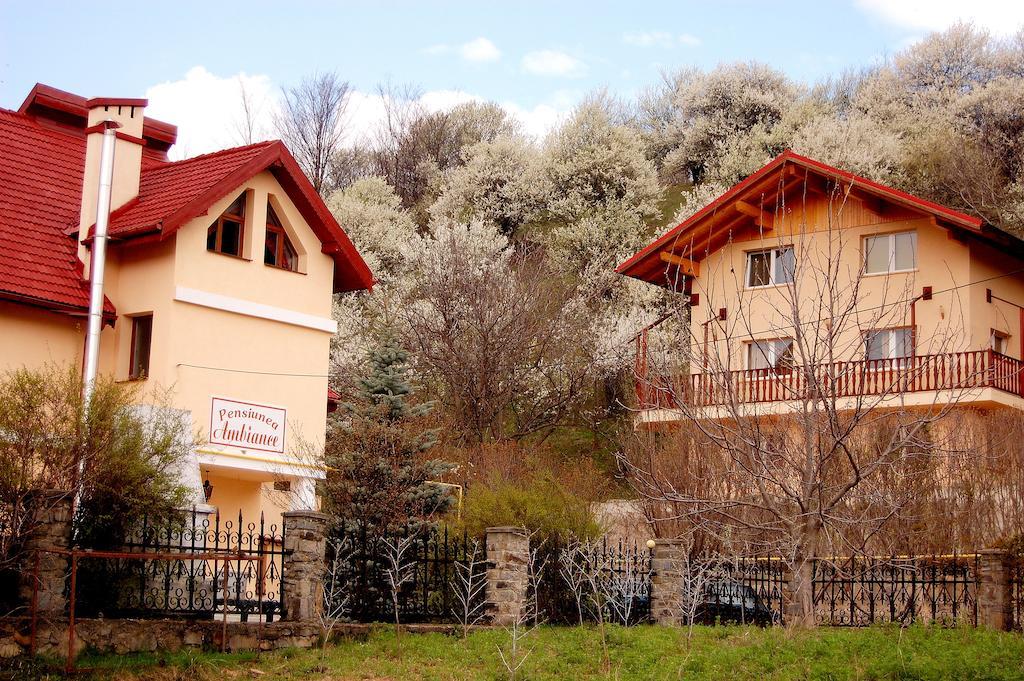 Pensiunea Ambiance Piatra Neamţ Exterior foto