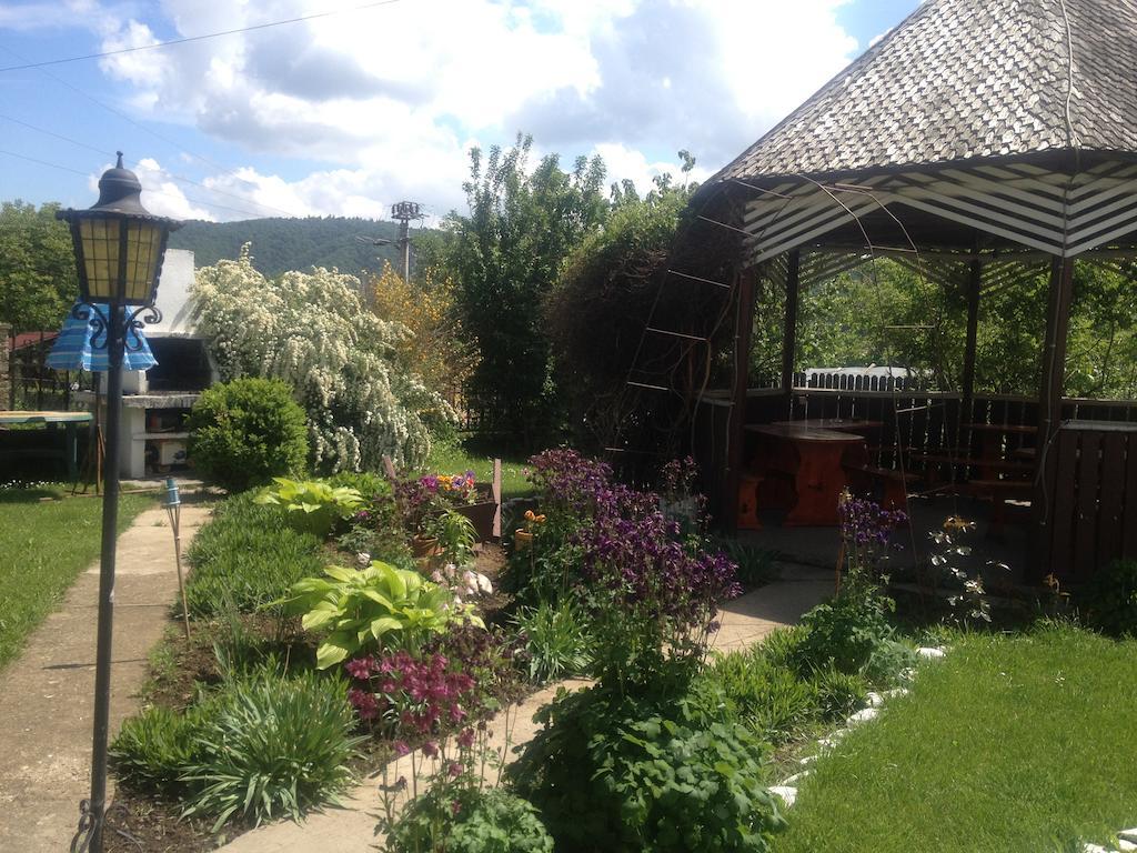 Pensiunea Ambiance Piatra Neamţ Exterior foto