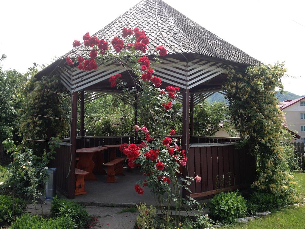 Pensiunea Ambiance Piatra Neamţ Exterior foto